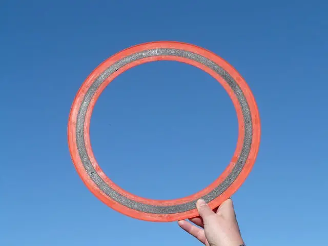 best flying disc