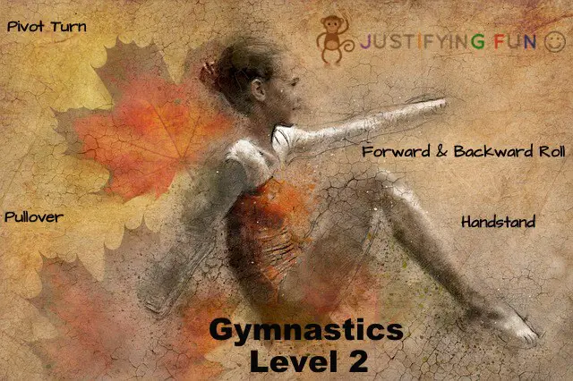 Level 2 Gymnastics Requirements Justifying Fun