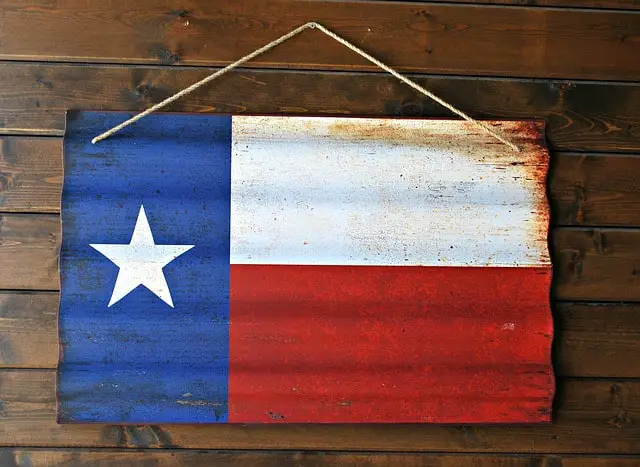 texas flag