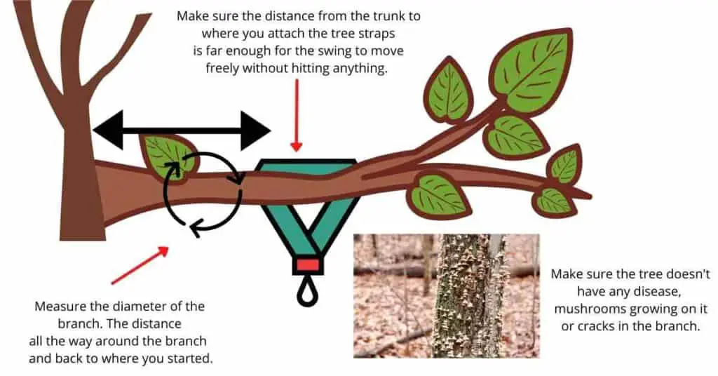 how to attach a tree swing to a tree